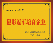 湖北省支柱产业隐形冠军